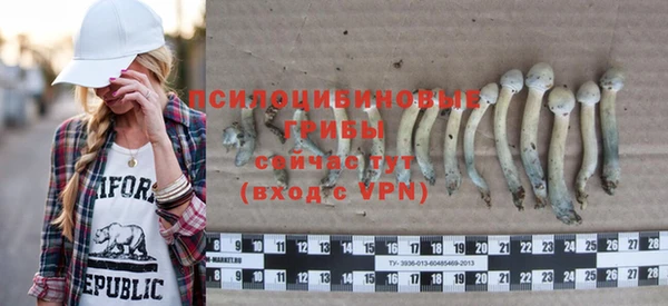 дурь Арсеньев