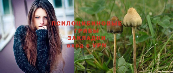 мяу мяу мука Аркадак