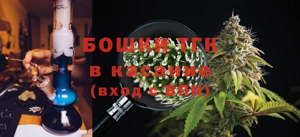 мяу мяу мука Аркадак