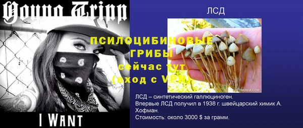 стафф Абаза